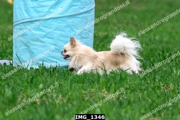 IMG_1346.jpg