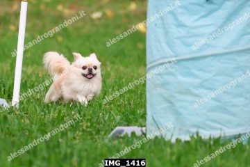 IMG_1416.jpg