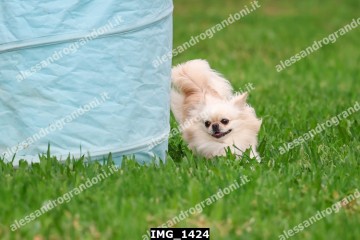 IMG_1424.jpg