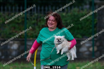 IMG_1516.jpg