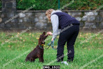 IMG_1521.jpg