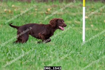 IMG_1542.jpg