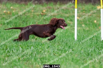 IMG_1543.jpg
