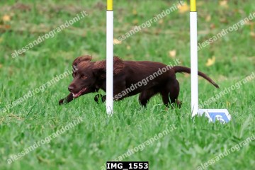 IMG_1553.jpg