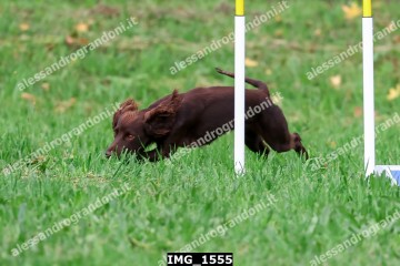 IMG_1555.jpg