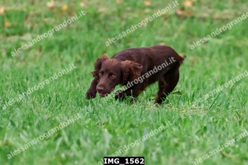 IMG_1562.jpg
