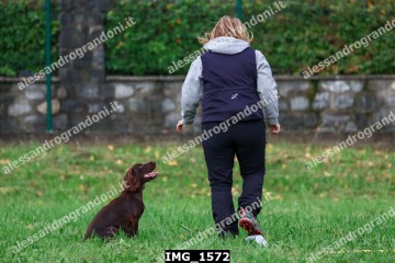 IMG_1572.jpg