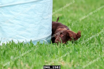 IMG_1582.jpg