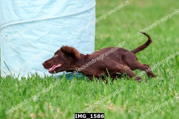 IMG_1586.jpg