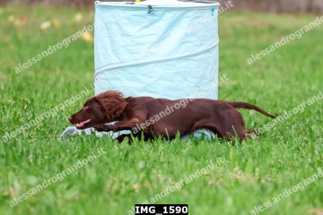 IMG_1590.jpg