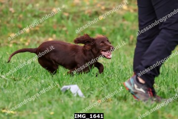 IMG_1641.jpg