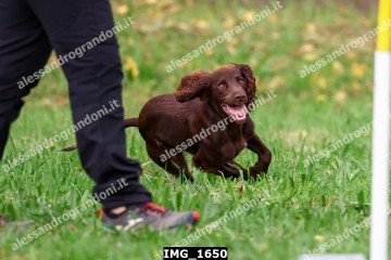 IMG_1650.jpg