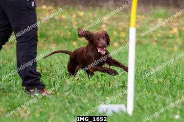 IMG_1652.jpg
