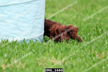 IMG_1660.jpg