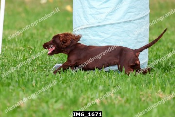 IMG_1671.jpg