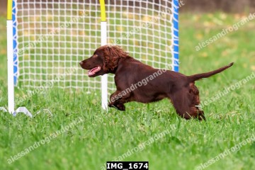 IMG_1674.jpg
