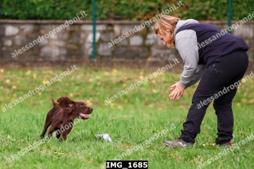 IMG_1685.jpg