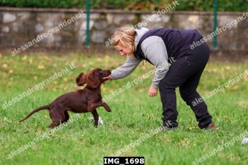 IMG_1698.jpg