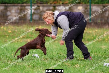 IMG_1701.jpg