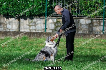 IMG_2156.jpg
