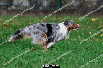 IMG_2171.jpg