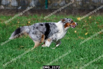 IMG_2172.jpg