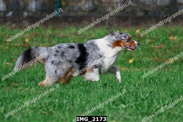 IMG_2173.jpg