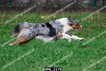 IMG_2175.jpg