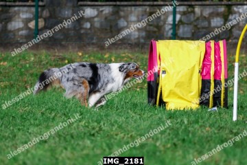 IMG_2181.jpg