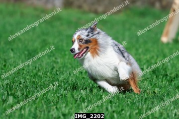 IMG_2202.jpg