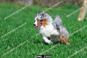 IMG_2203.jpg