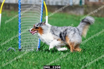 IMG_2208.jpg