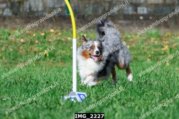 IMG_2227.jpg