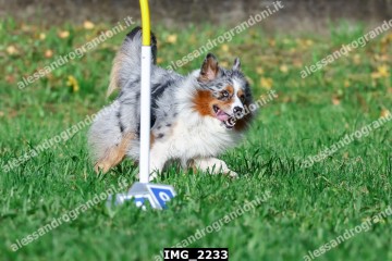 IMG_2233.jpg