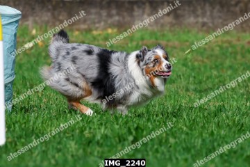 IMG_2240.jpg