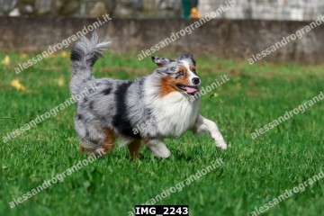 IMG_2243.jpg