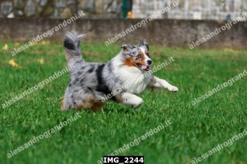 IMG_2244.jpg