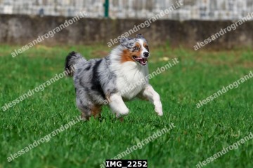 IMG_2252.jpg