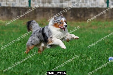 IMG_2254.jpg