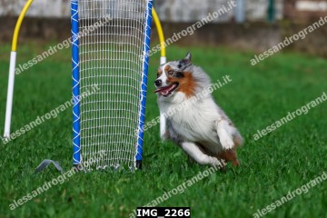 IMG_2266.jpg