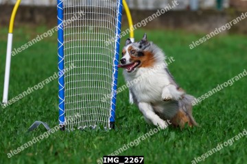 IMG_2267.jpg
