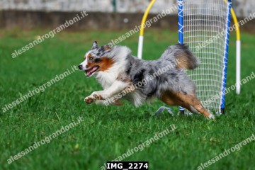 IMG_2274.jpg