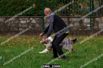 IMG_2309.jpg
