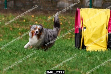 IMG_2322.jpg