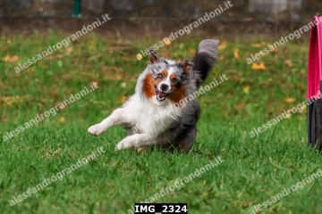 IMG_2324.jpg