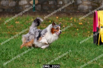 IMG_2331.jpg