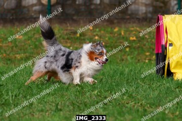 IMG_2333.jpg