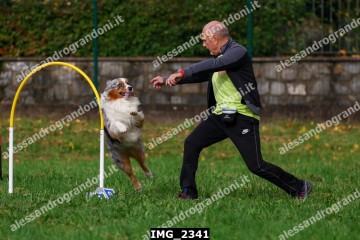 IMG_2341.jpg