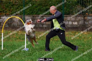 IMG_2342.jpg