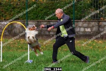 IMG_2344.jpg